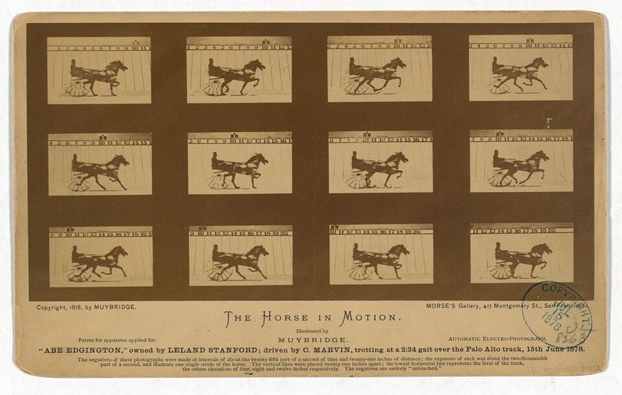 The Horse That Proved Hooves Leave the Ground