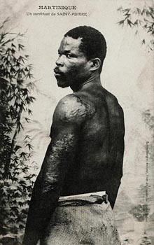 The Man Who Survived in a Jail Cell