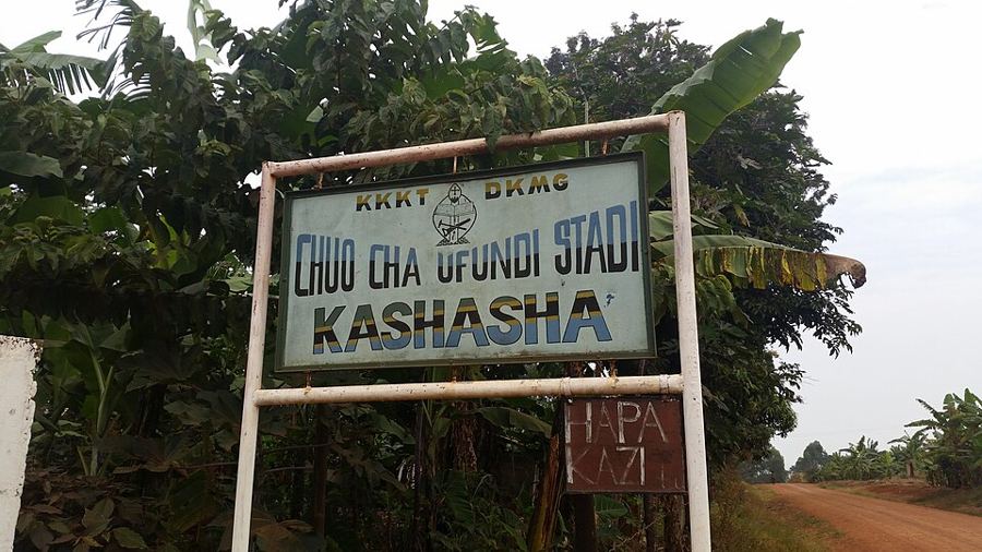 The Tanganyika Laughter Epidemic